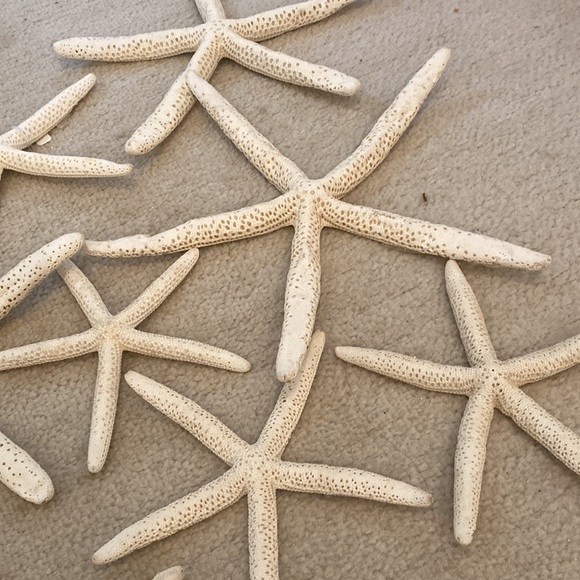 Natural starfish Christmas ornaments. All perfect ready for your coastal tree - Picture 7 of 8